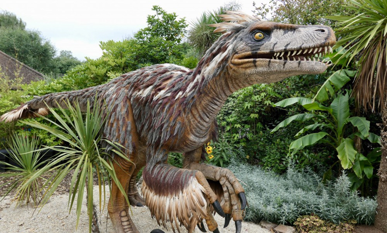 Dino Mania at Bristol Zoo